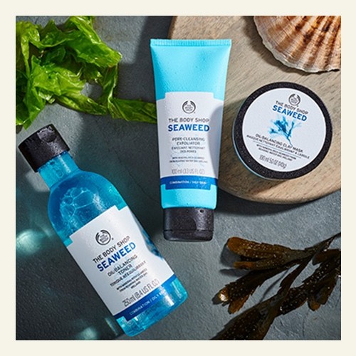 Morská riasa Morská riasa