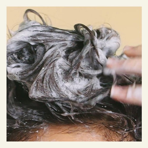 Typ vlasov Typ vlasov