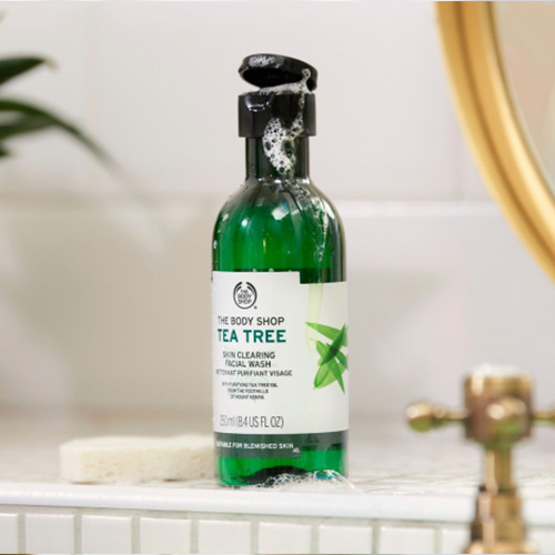 tea_tree_skin_clearing_facial_wash_250ml_4_inrsdps092