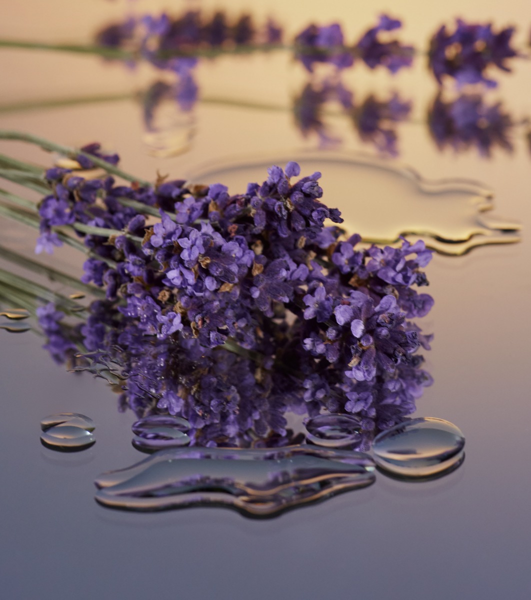 03-2022-Q1-WELLNESS-ESSENTIAL-OILS-200pc-DESKTOP