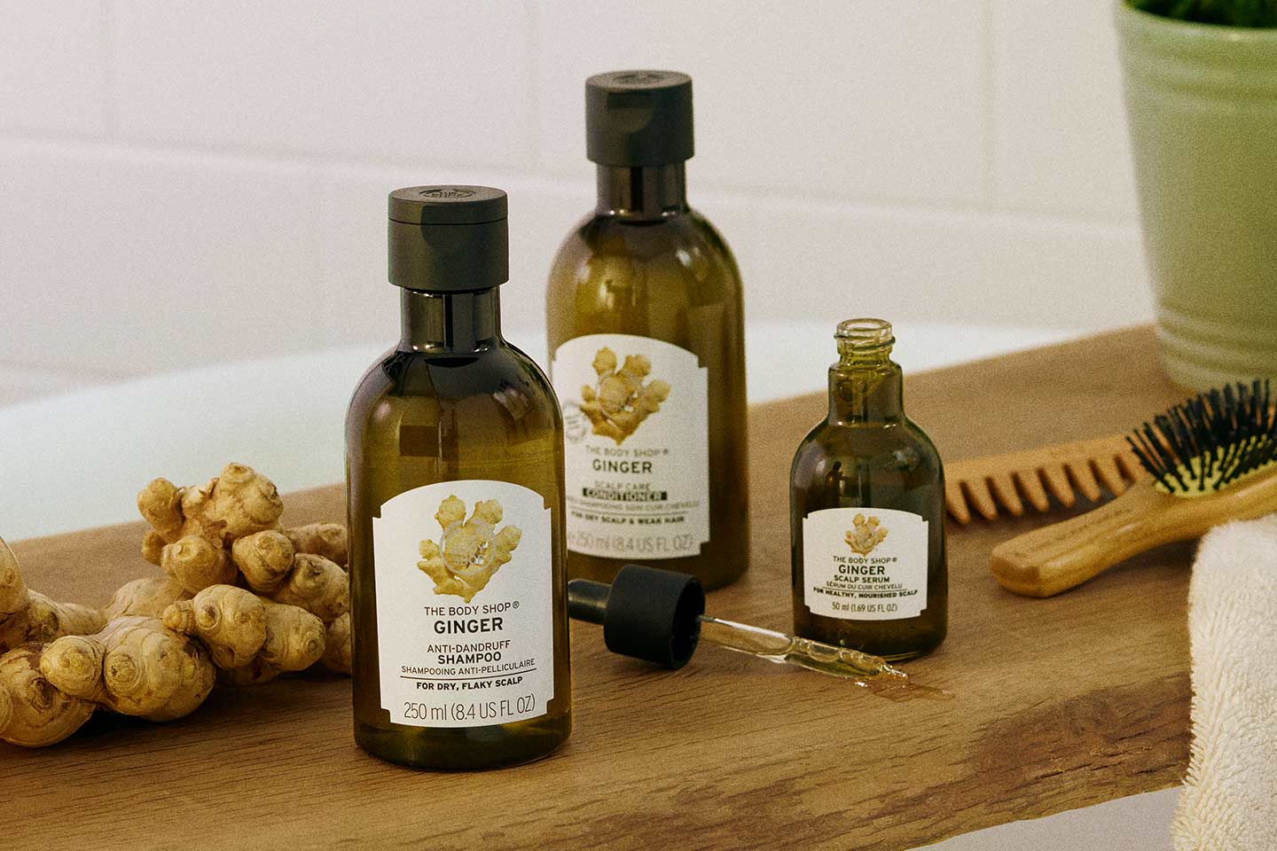 GINGER-ANTIDANDRUFF-HAIRCARE-RANGE-EMEA