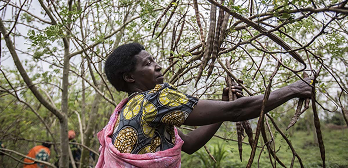 community_fair_trade_-_our_commitment_with_suppliers